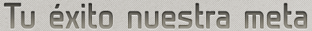Grupo nes consultores