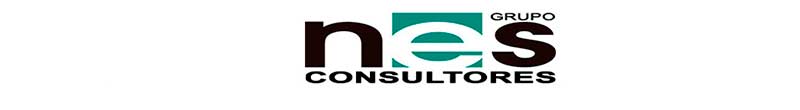 Nes consultores